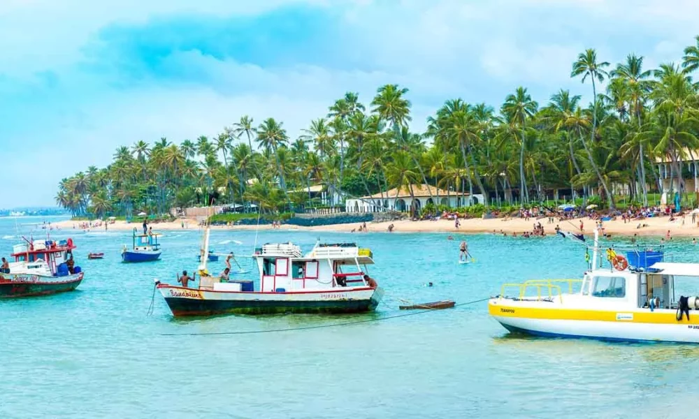 Acontece nos dias 4 a 7 de maio, a 4ª edição da Festa Literária Internacional da Praia do Forte (FLIPF). O evento contará com atividades espa