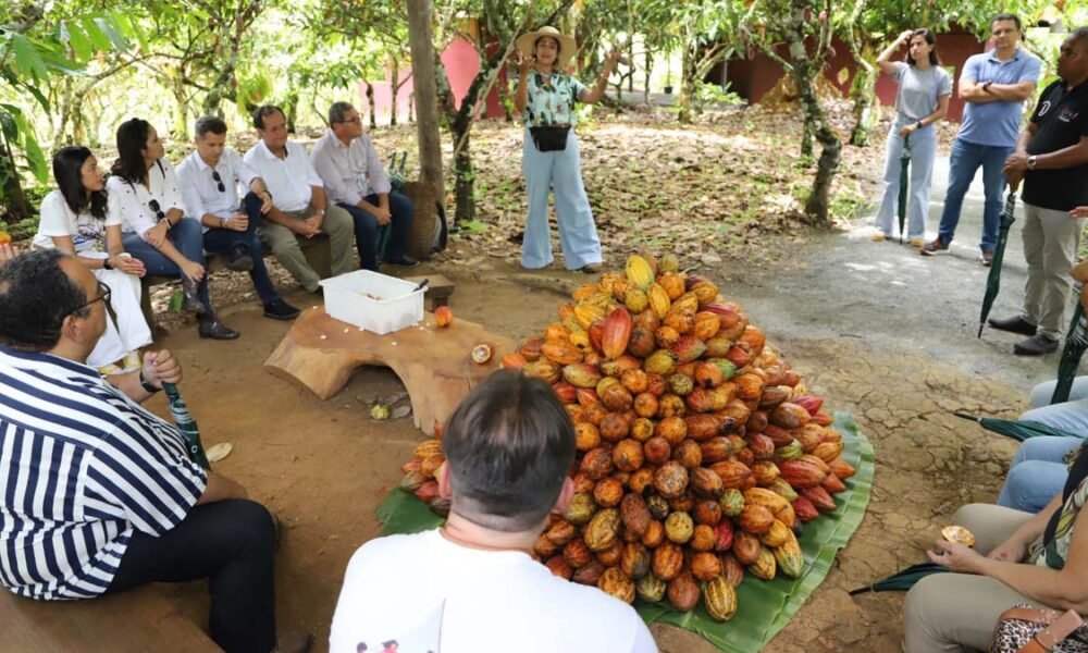 entre Ilhéus e Uruçuca, na zona turística Costa do Cacau, onde funciona o roteiro histórico e gastronômico da Estrada do Chocolate, ganhou,