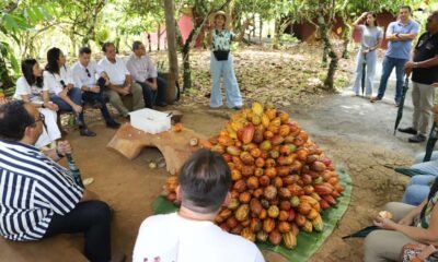 entre Ilhéus e Uruçuca, na zona turística Costa do Cacau, onde funciona o roteiro histórico e gastronômico da Estrada do Chocolate, ganhou,