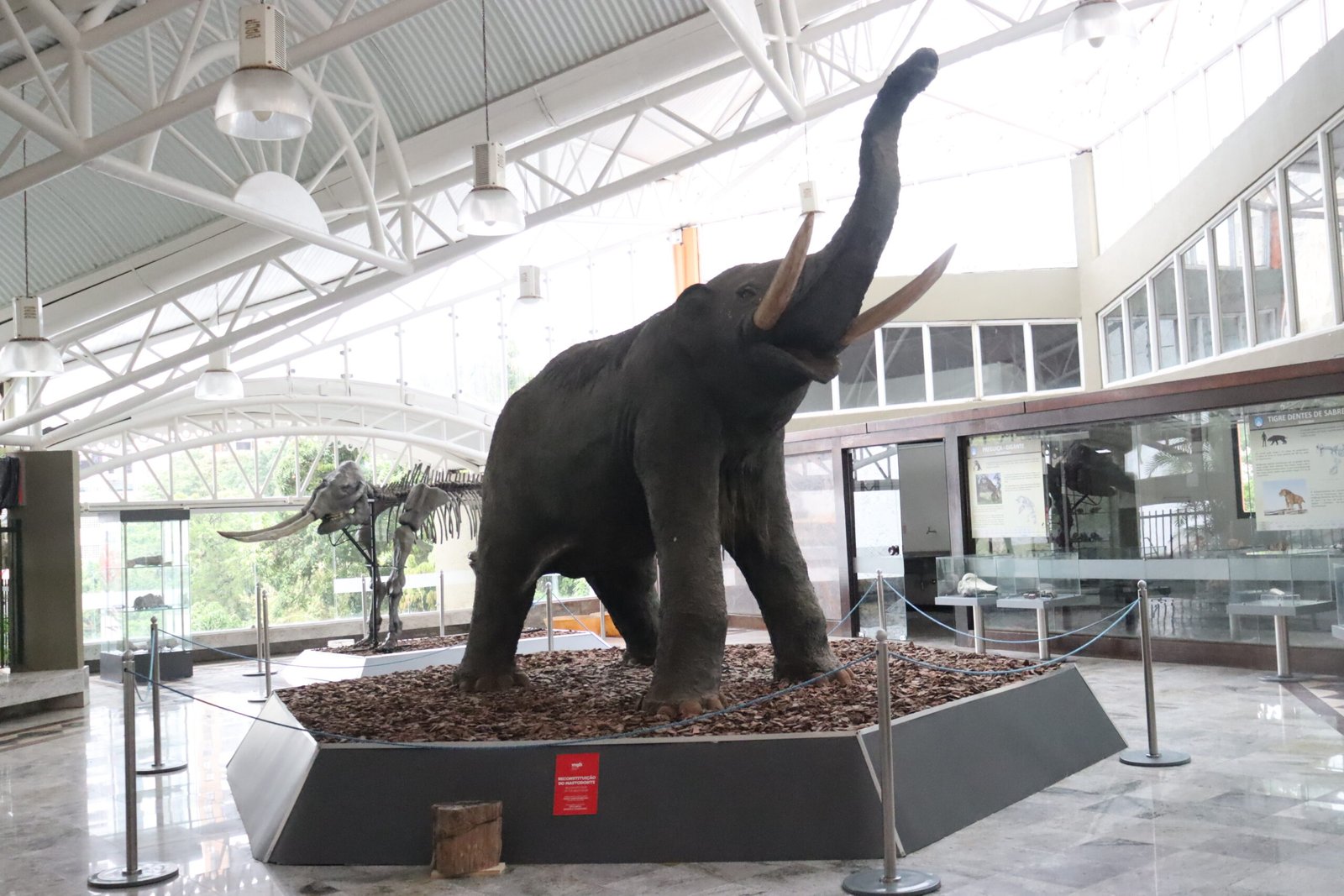 Um mundo mágico repleto de descobertas e de fantasias faz parte dos 48 anos de história do Museu Geológico da Bahia (MGB),