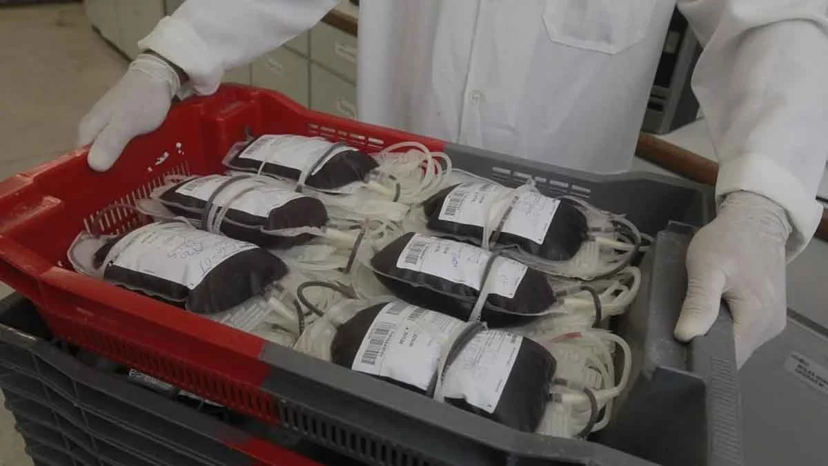 A Fundação Hemoba promove até o dia 19 de abril, a campanha Micareta Solidária, que pretende aumentar a captação de doadores de sangue no per