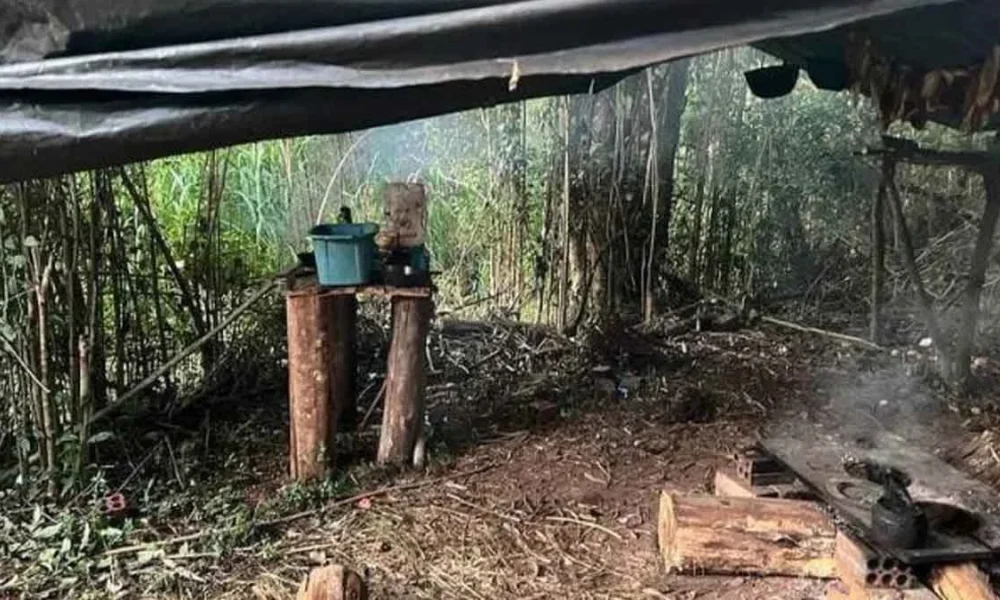 Quatro trabalhadores argentinos em condição análoga à de escravo foram resgatados na noite deste sábado (1º) em Nova Petrópolis, na Serra Gaú