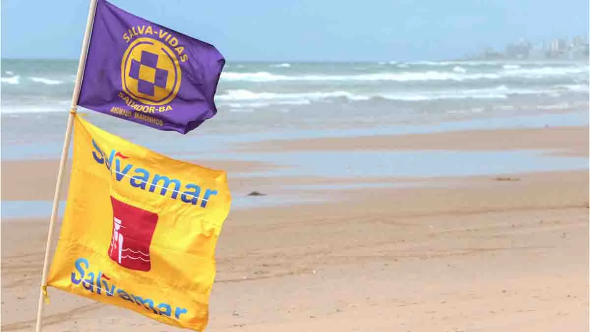 O período das chuvas ocorre, comumente, entre os meses de abril e junho. Nesta época as correntes de ar provenientes do Sul são mais fortes, e com isso o mar tende a ficar mais agitado, acarretando o aumento de incidentes nas praias de Salvador. Além dos riscos de afogamento, é preciso redobrar atenção com aumento no número de caravelas, as tão conhecidas águas-vivas. As espécies marinhas provocam queimaduras.