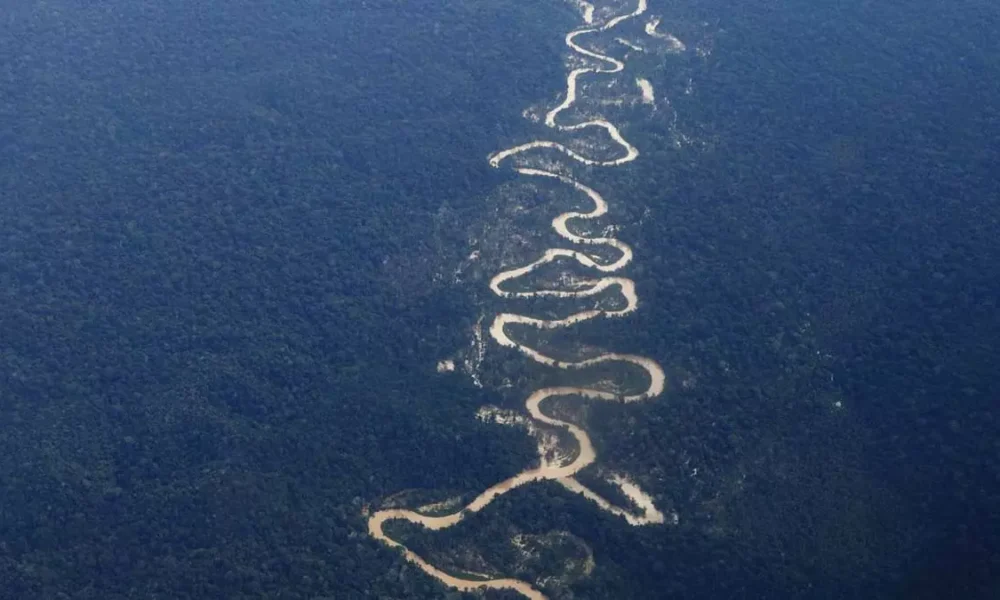 O Ministério do Meio Ambiente e Mudança do Clima confirmou a morte de quatro garimpeiros dentro da Terra Indígena Yanomami