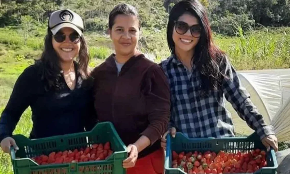 O morango é versátil e muito utilizado na culinária mundial. Além disso, o índice calórico da fruta é baixo, com 100 gramas contendo 40 calor