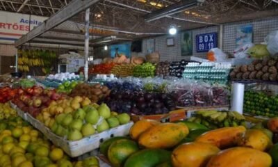 Devido ao feriado de São João no sábado, 24 de junho, e da Independência da Bahia no próximo domingo, 2 de julho, a Central de Abastecimento de Salvador (Ceasa) e os Mercados do Rio Vermelho, do Ogunjá, de Paripe e da Sete Portas terão horário especial de funcionamento. A Ceasa e os mercados são administrados pela Secretaria de Desenvolvimento Econômico (SDE). Confira os horários: