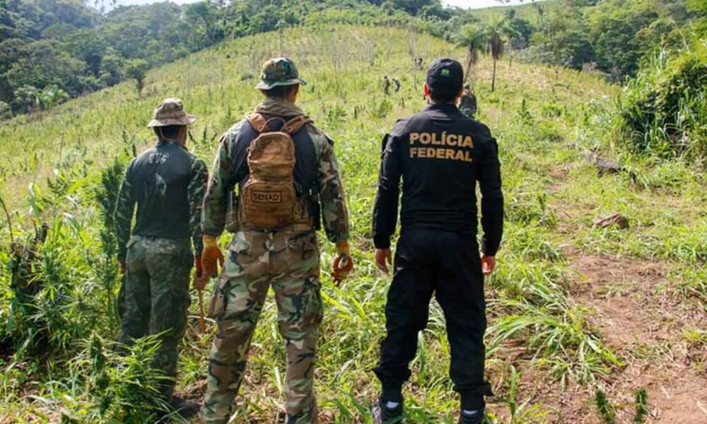 A Polícia Federal (PF), em conjunto com a Secretaria Nacional Antidrogas do Paraguai (SENAD/PY) e com o apoio da Força Tarefa Conjunta e do Ministério Público Paraguaio, deu início, nesta terça-feira (20), à 38ª fase da Operação Nova Aliança.