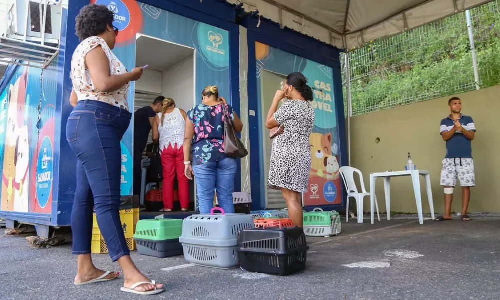 Começam nesta segunda-feira (10), os atendimentos do Castramóvel, no Jardim Botânico, na Avenida São Rafael. O serviço itinerante de castraçã