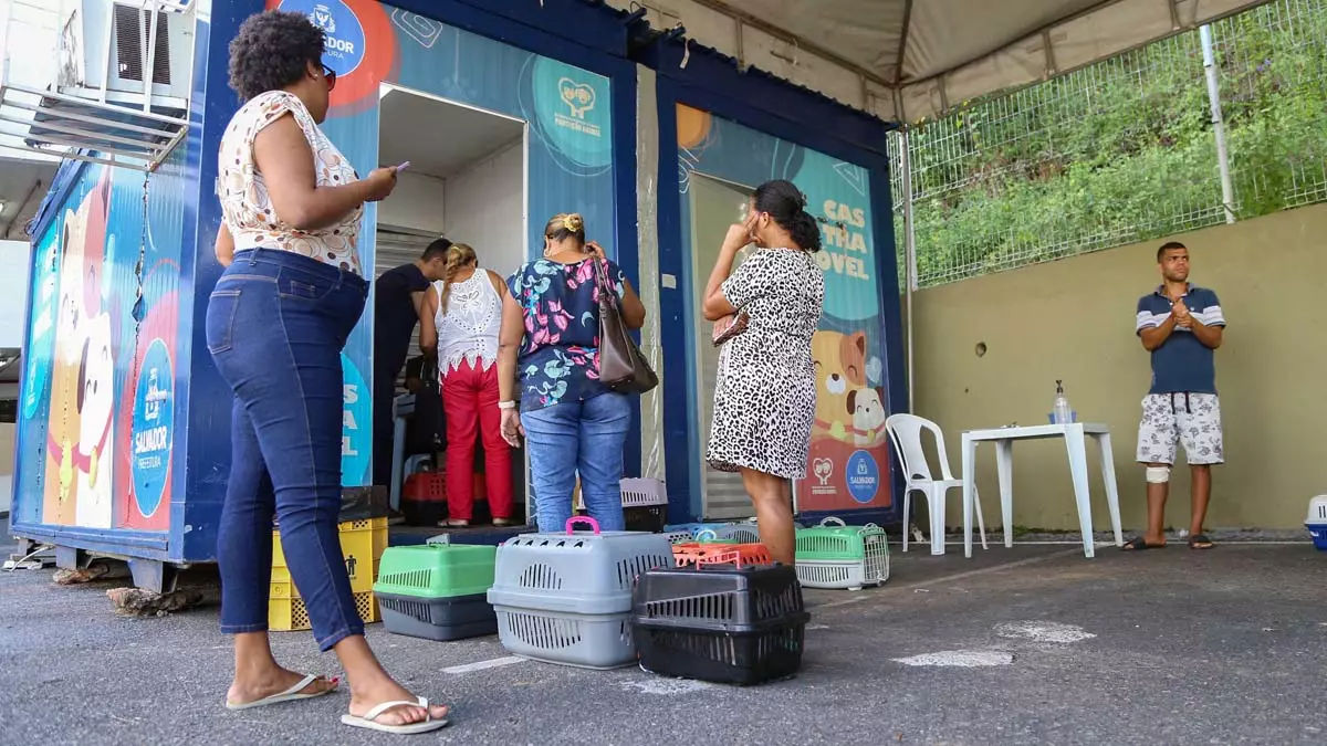 Começam nesta segunda-feira (10), os atendimentos do Castramóvel, no Jardim Botânico, na Avenida São Rafael. O serviço itinerante de castraçã