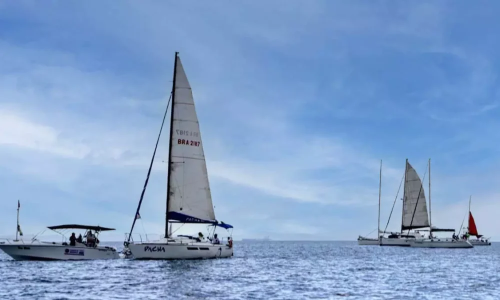 A regata de veleiros de oceano foi o ponto alto do Festival Náutico Maria Felipa, no último sábado (15), com percurso da Marina