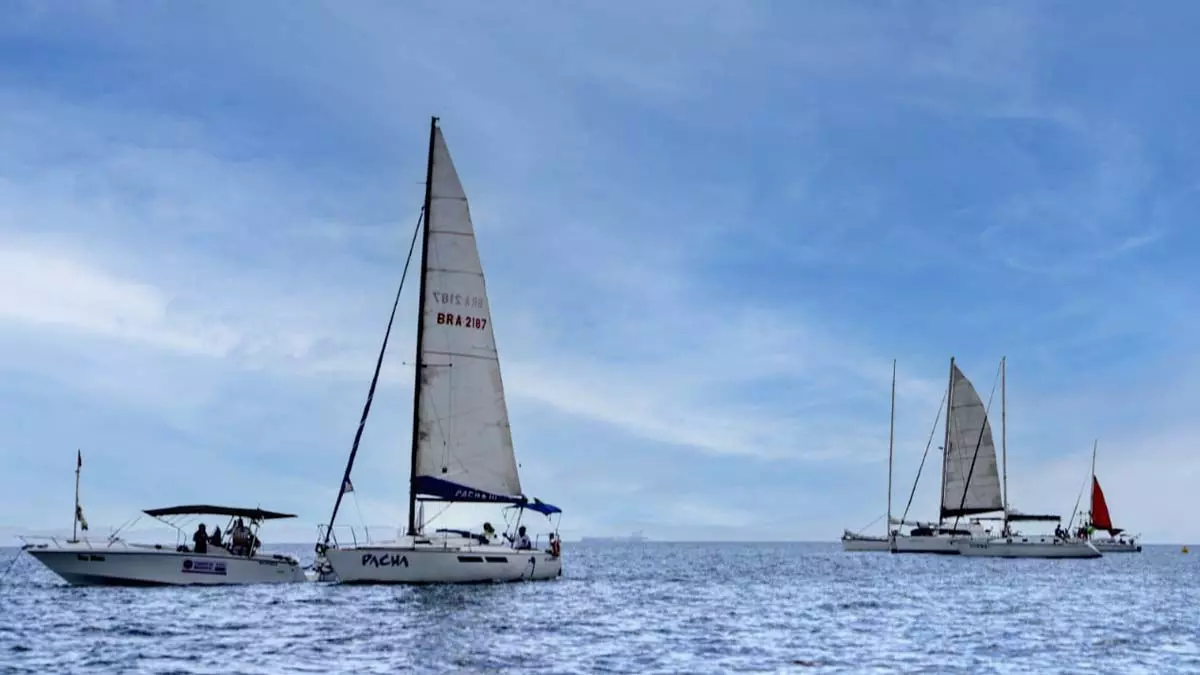 A regata de veleiros de oceano foi o ponto alto do Festival Náutico Maria Felipa, no último sábado (15), com percurso da Marina