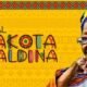 no que demonstrem mérito, eficácia e sucesso na valorização da história e da cultura africana, afro-brasileira e indígena, o Concurso Público