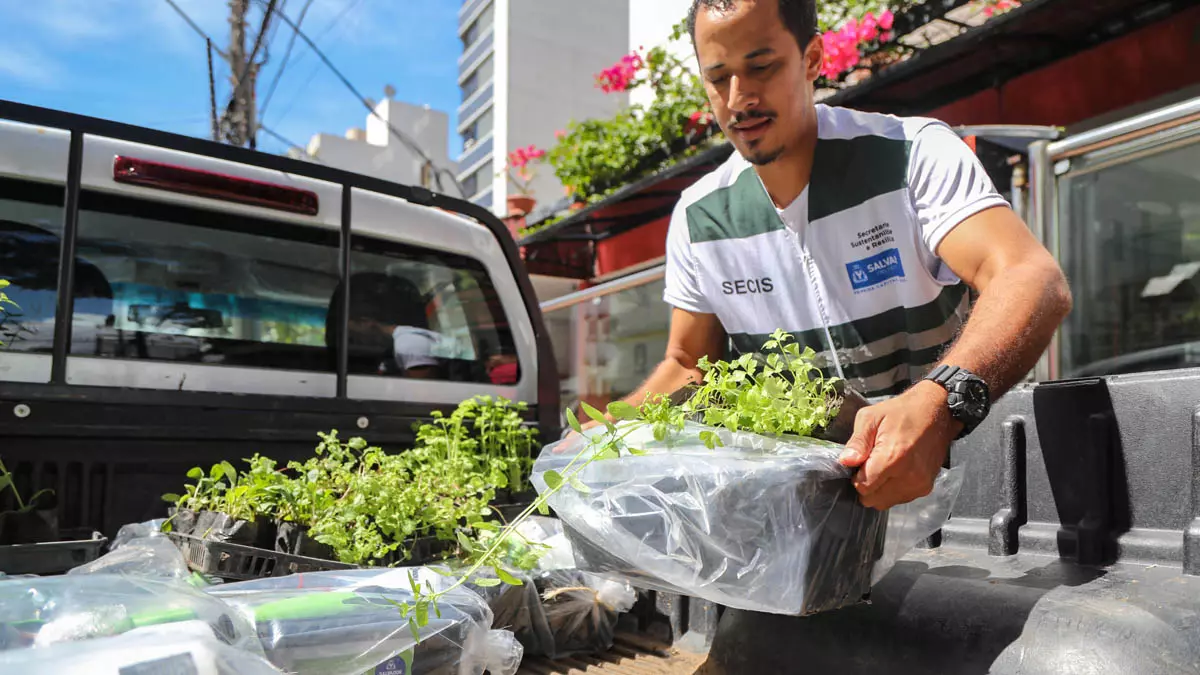 kits da 4ª fase do Projeto Horta em Casa em 2023 aos 100 contemplados. Compõe o kit: jardineira, quatro mudas de hortaliças,