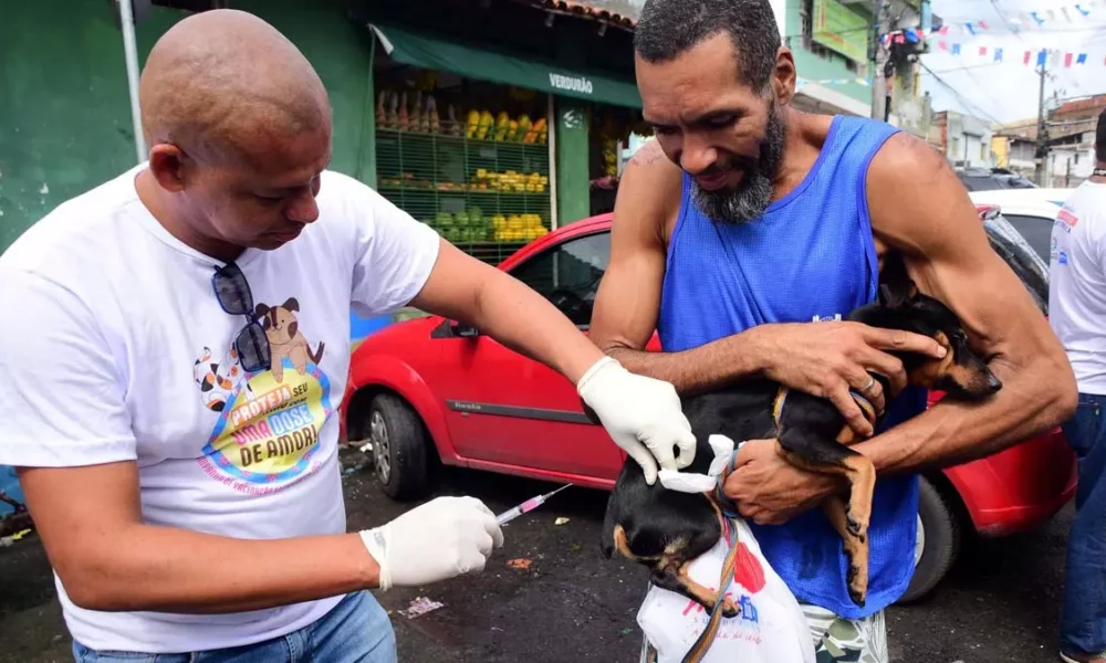 Para ampliar o acesso à dose da vacina contra raiva em animais, a Campanha de Vacinação de Salvador ofertará a dose em pontos