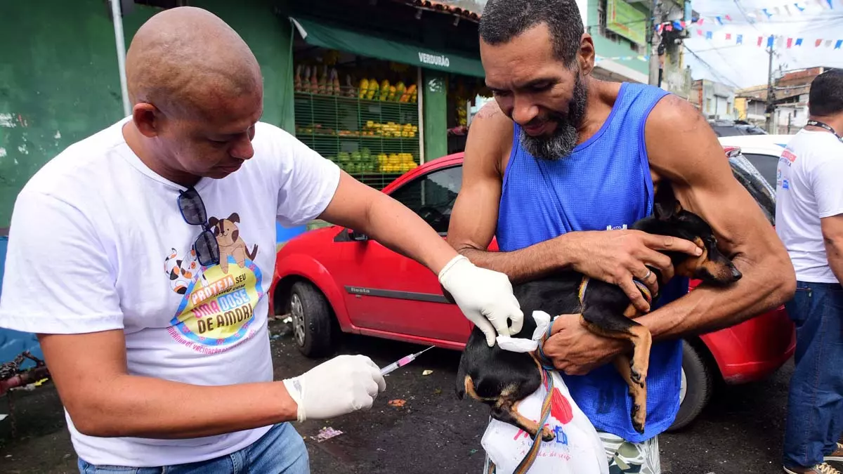 Para ampliar o acesso à dose da vacina contra raiva em animais, a Campanha de Vacinação de Salvador ofertará a dose em pontos