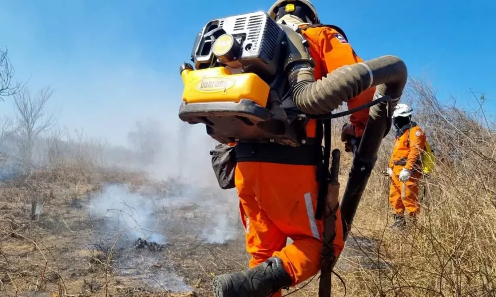 Em uma incansável luta contra os incêndios florestais que têm afetado o estado, o programa Bahia Sem Fogo está atuando em diversas