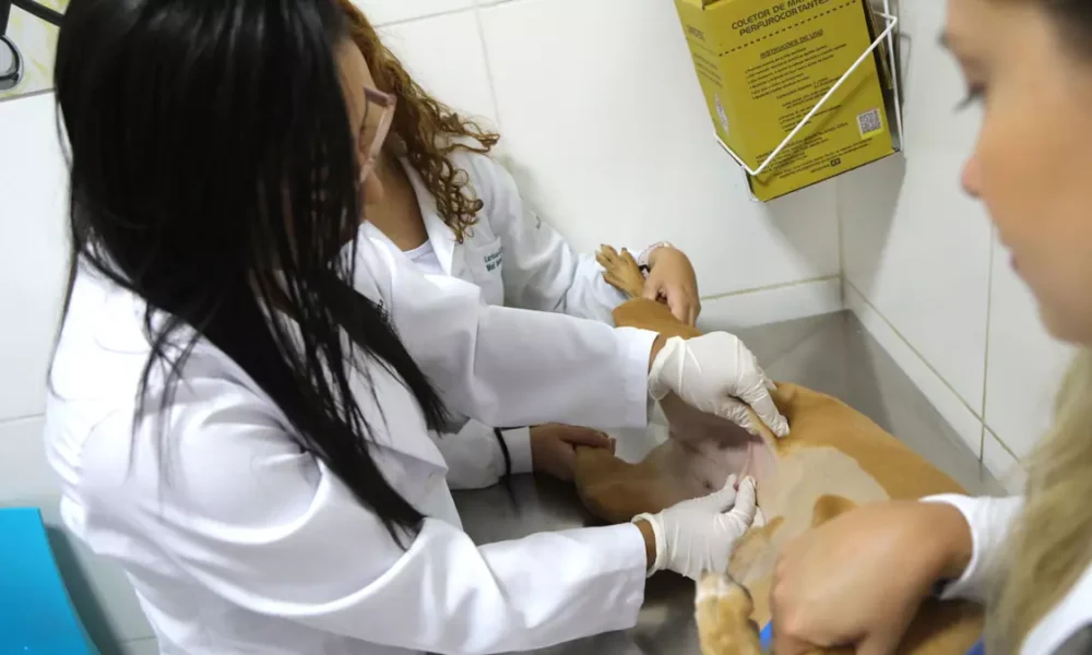 O Outubro Rosa é o mês alusivo à prevenção de câncer de mama em mulheres. No entanto, a campanha também está ativa