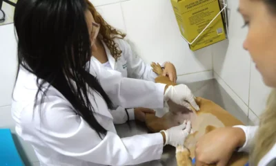 O Outubro Rosa é o mês alusivo à prevenção de câncer de mama em mulheres. No entanto, a campanha também está ativa