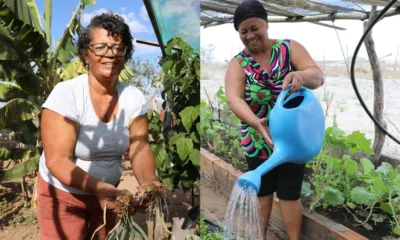 Extensão Rural (Bahiater) são um exemplo de como as mulheres agricultoras familiares estão desafiando a invisibilidad