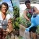 Extensão Rural (Bahiater) são um exemplo de como as mulheres agricultoras familiares estão desafiando a invisibilidad