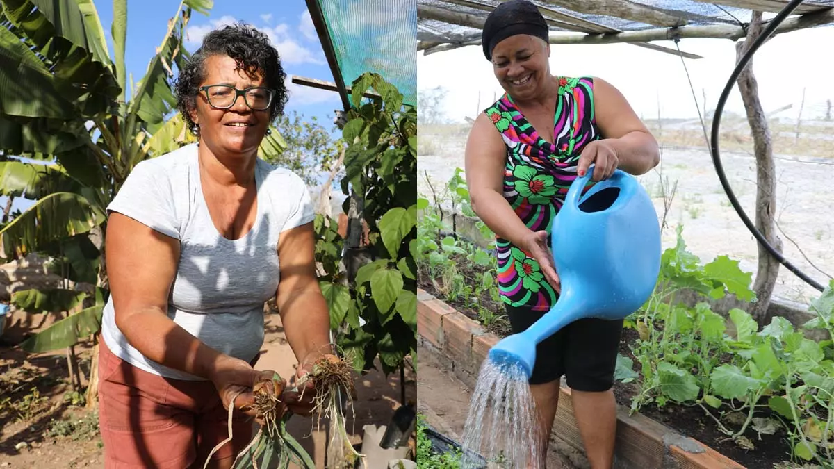 Extensão Rural (Bahiater) são um exemplo de como as mulheres agricultoras familiares estão desafiando a invisibilidad