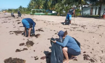 Pensando nisso, vai acontecer um mutirão de limpeza na praia de Stella Maris, neste sábado (21), às 7h30, em parceria com a