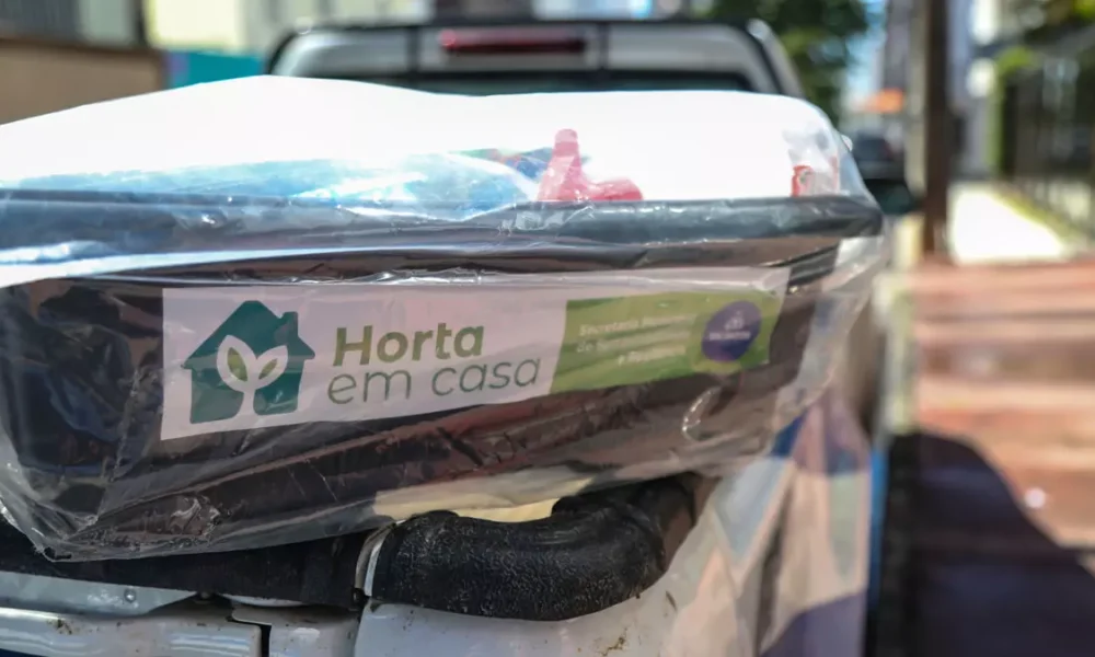 Municipal de Sustentabilidade, Resiliência, Bem-Estar e Proteção Animal (Secis) abre novas inscrições para o projeto Horta em Casa