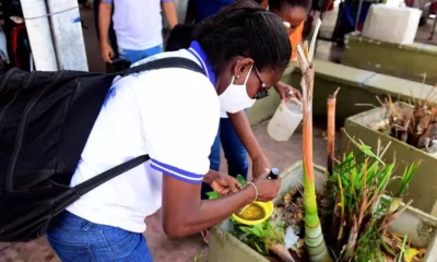 Com a proximidade da Festa de Santa Bárbara, que acontece na próxima segunda-feira, (4), o Centro de Controle de Zoonoses (CCZ),