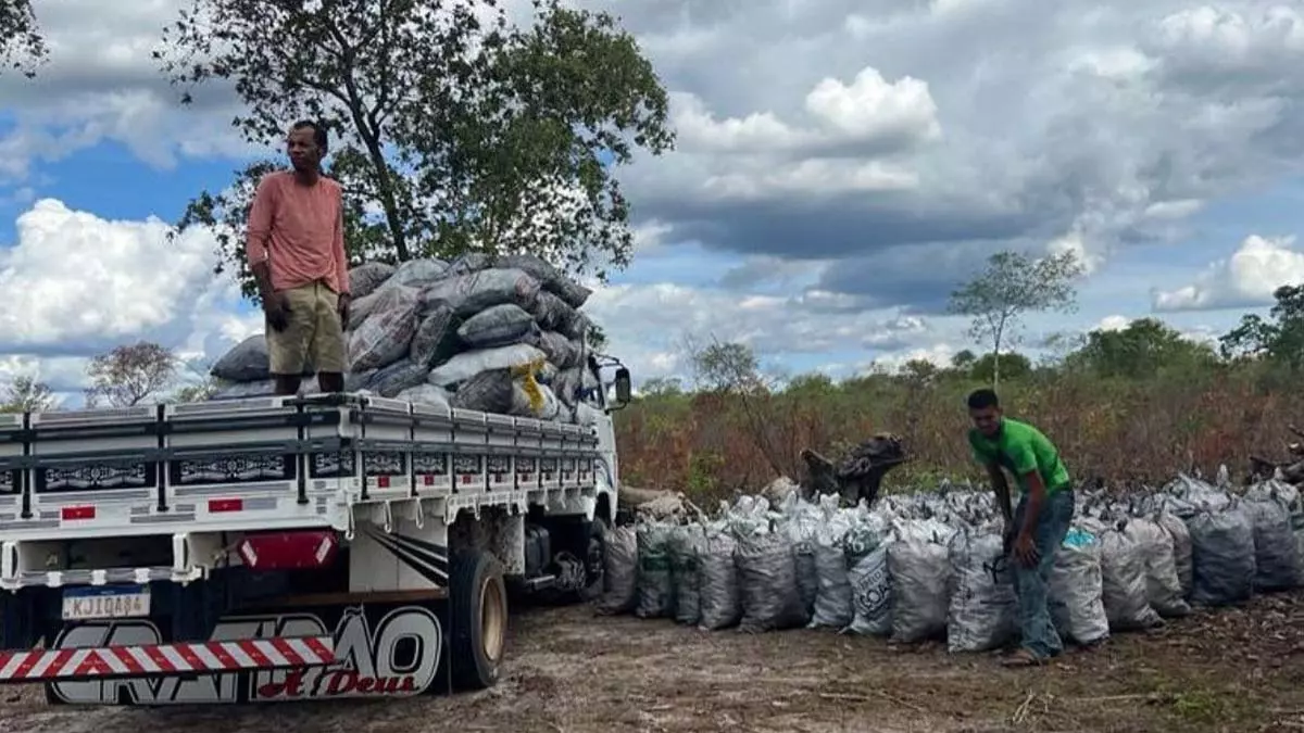 Cerca de 25 toneladas de carvão vegetal ilegal foram apreendidas e cinco pessoas foram presas, em 48 horas, pela Companhia Independente