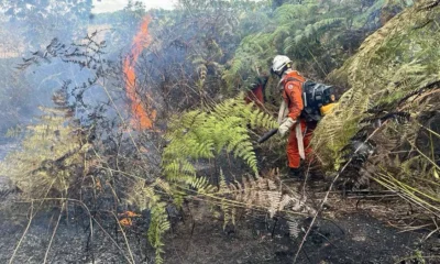 Neste domingo (3), cerca de 200 bombeiros militares permanecem atuando no combate e monitoramento aos incêndios