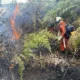 Neste domingo (3), cerca de 200 bombeiros militares permanecem atuando no combate e monitoramento aos incêndios