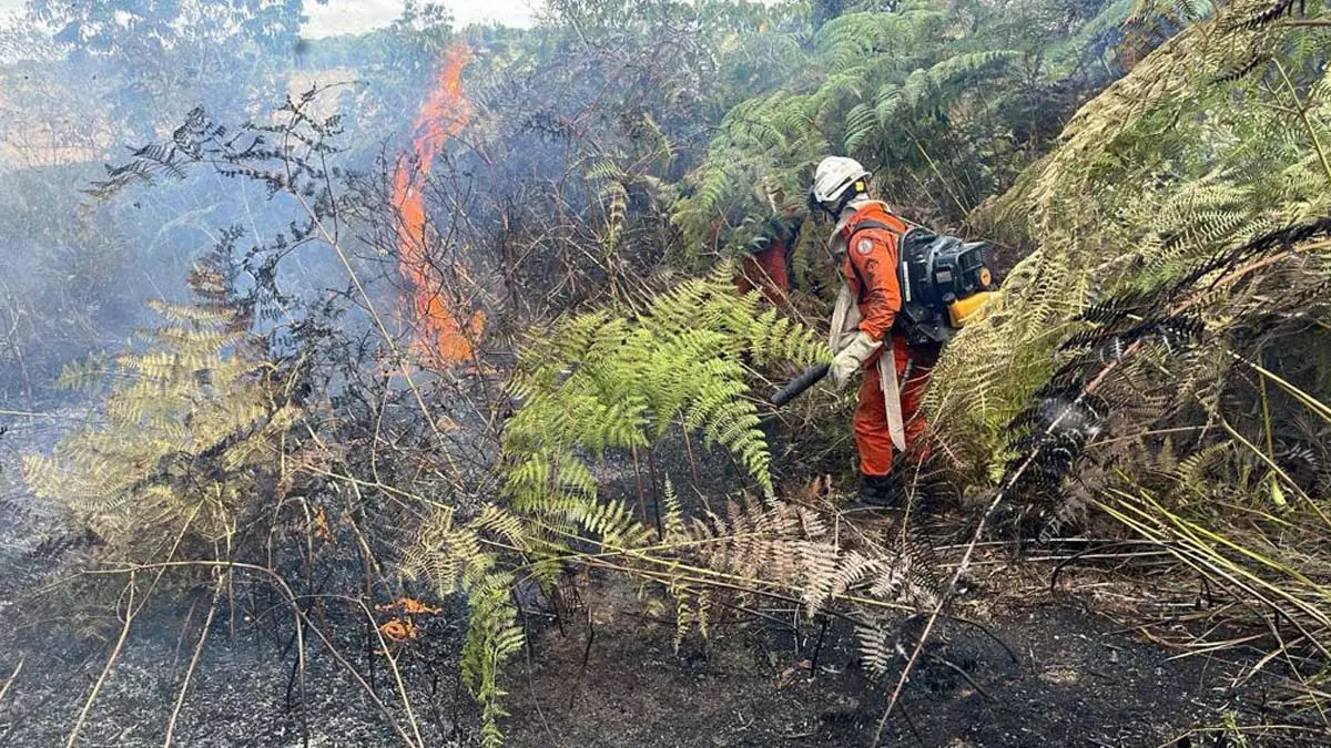 Neste domingo (3), cerca de 200 bombeiros militares permanecem atuando no combate e monitoramento aos incêndios