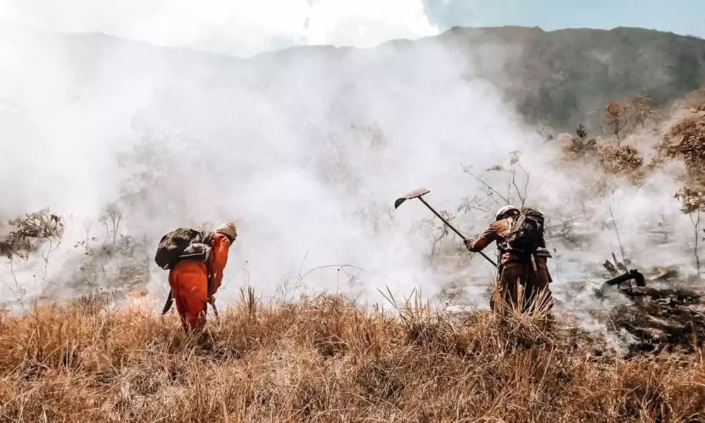 bombeiros militares da Bahia conseguiram controlar o incêndio florestal que atingia a área de proteção ambiental (APA), na Serra do Barbado.