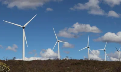 O ano de 2023 foi positivo para o setor de energias renováveis na Bahia. O estado manteve a liderança na produção de energia