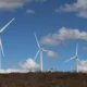 O ano de 2023 foi positivo para o setor de energias renováveis na Bahia. O estado manteve a liderança na produção de energia
