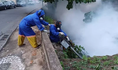 A Secretaria Municipal da Saúde (SMS) prossegue, nesta segunda-feira (19), com as ações de combate à dengue em Salvador nos locais