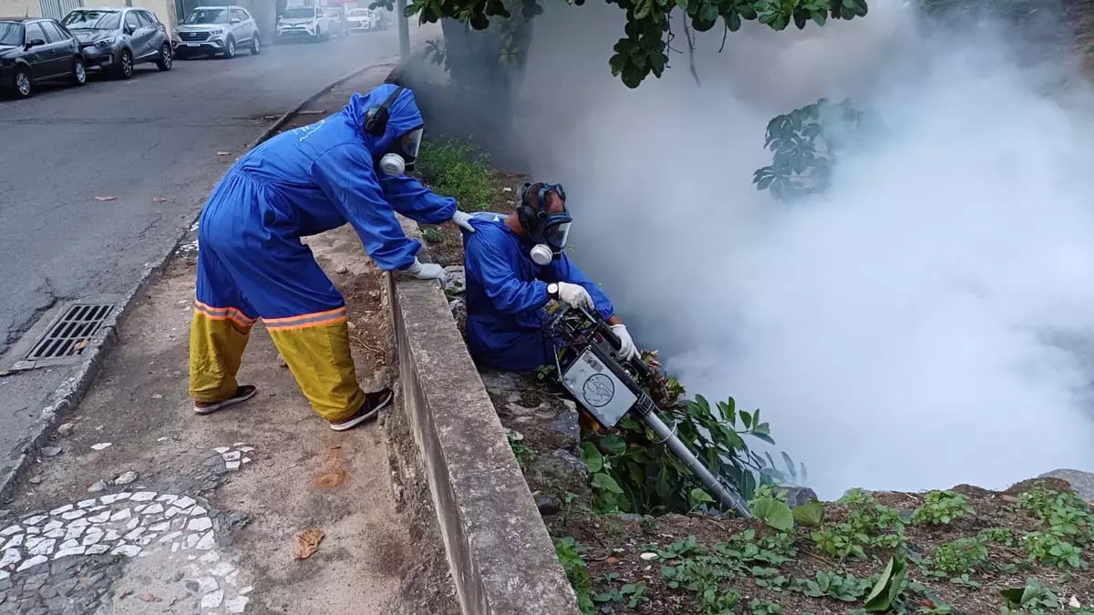 A Secretaria Municipal da Saúde (SMS) prossegue, nesta segunda-feira (19), com as ações de combate à dengue em Salvador nos locais