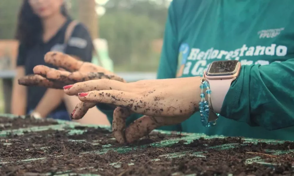 Em comemoração ao Dia da Caatinga, a Secretaria do Meio Ambiente (Sema) participou de uma visita especial ao Centro Territorial