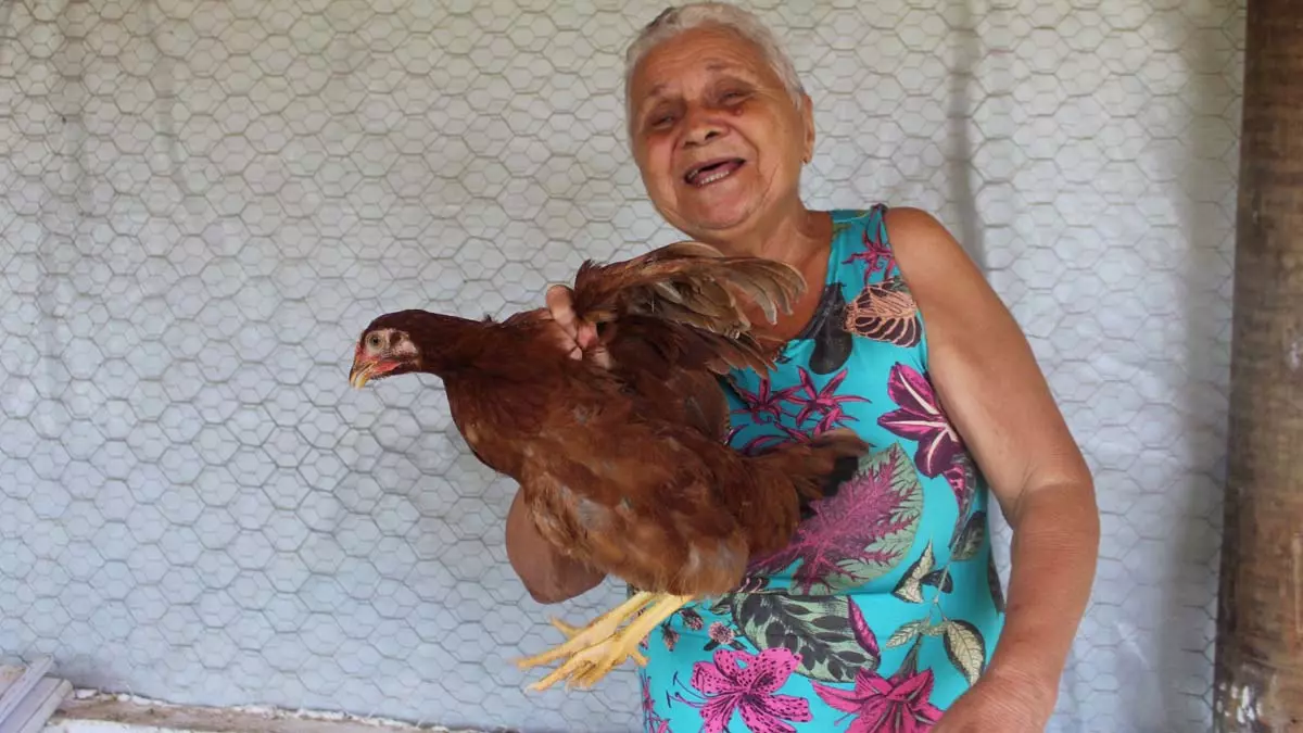 Ação Regional (CAR). Essa iniciativa tem transformado a realidade das famílias de agricultores e agricultoras familiares da Associação