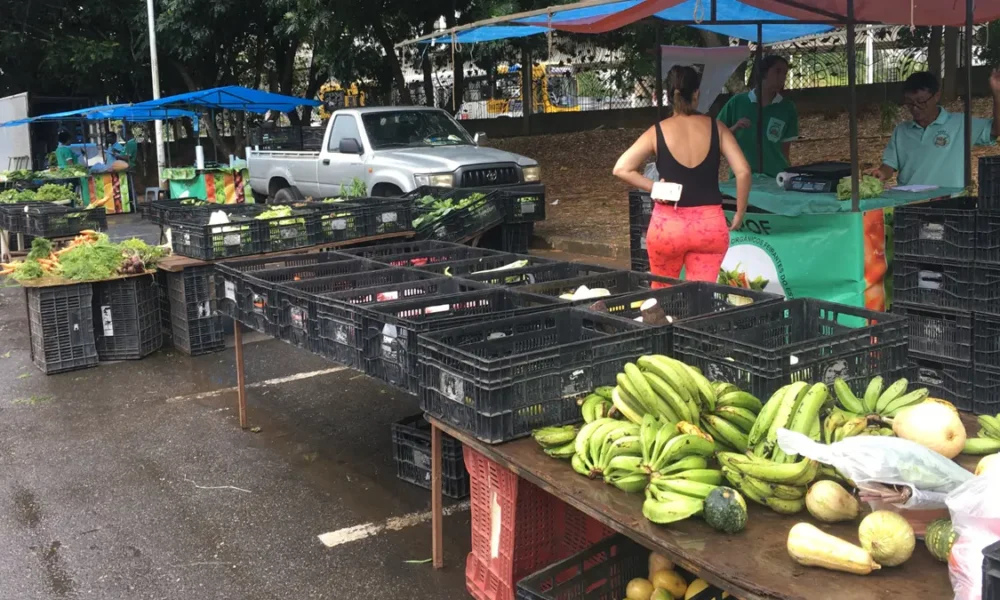 A Cesta Básica de Salvador, calculada pela Superintendência de Estudos Econômicos e Sociais da Bahia (SEI), com base em 2.996