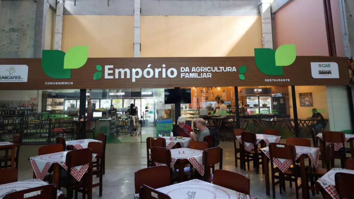 Mais de 600 mil baianos estão envolvidos na produção de alimentos através da agricultura familiar, na Bahia. Esses agricultores
