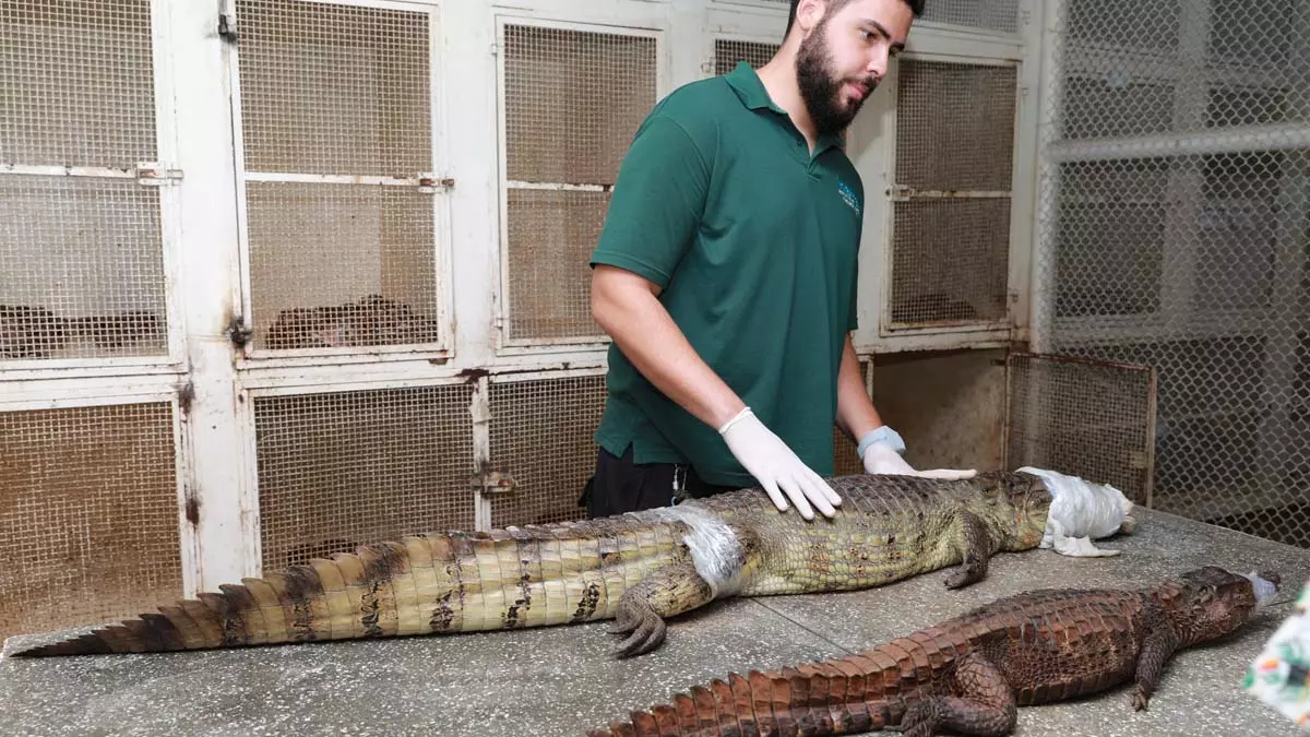 O Centro Estadual de Triagem de Animais Silvestres (CETAS), unidade do Instituto do Meio Ambiente e Recursos Hídricos (Inema),