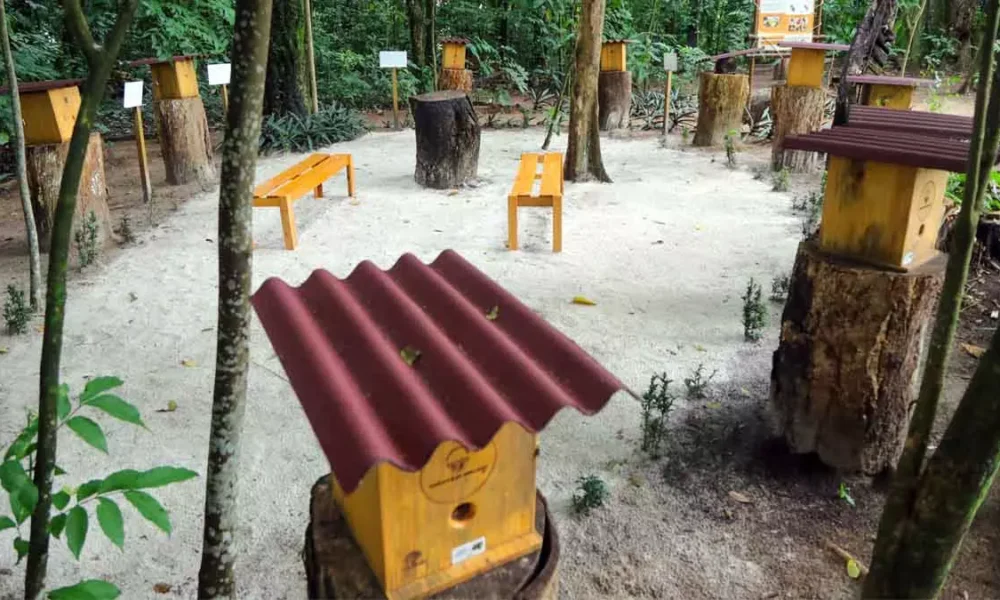 Salvador ganhou esta semana um Meliponário Municipal, instalado pela Prefeitura no Jardim Botânico, na Avenida São Rafael, em São Marcos.