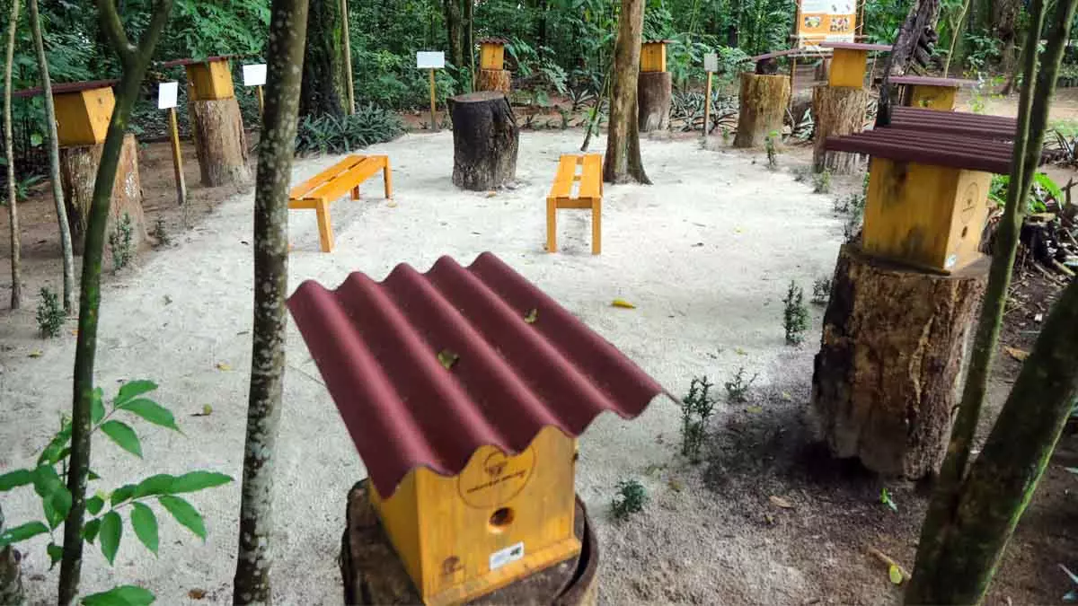 Salvador ganhou esta semana um Meliponário Municipal, instalado pela Prefeitura no Jardim Botânico, na Avenida São Rafael, em São Marcos.