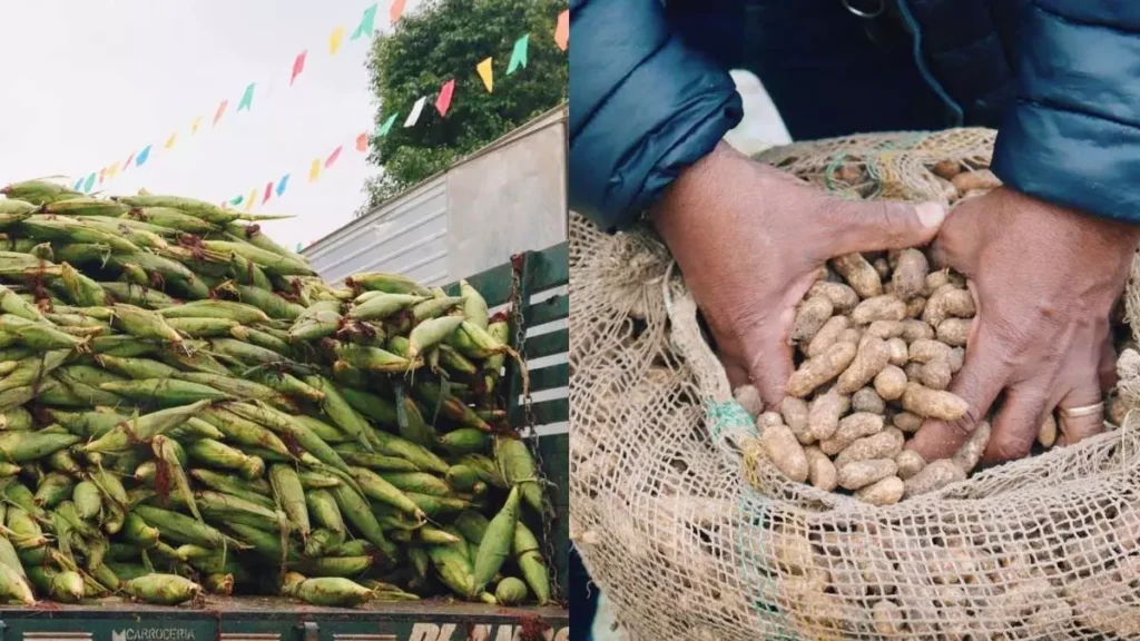 O mês de junho chegou e com ele a ‘Feira de São João’, realizada anualmente dentro da Central de Abastecimento de Salvador (Ceasa), que