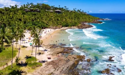 O cacau da Bahia está em alta, seja no valor da arroba do produto ou como atrativo turístico. A história da lavoura cacaueira,