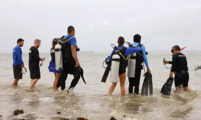 Instituto do Meio Ambiente e Recursos Hídricos (Inema), inaugurou a primeira área de Plantio de Corais Marinhos, próximo à localidade