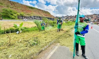 A Empresa de Limpeza Urbana de Salvador (Limpurb) segue intensificando o serviço de roçagem, capina e limpeza nas principais