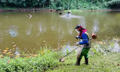 operação para remover resíduos e materiais inservíveis descartados de forma irregular em uma encosta no Parque Lagoa dos Pássaros