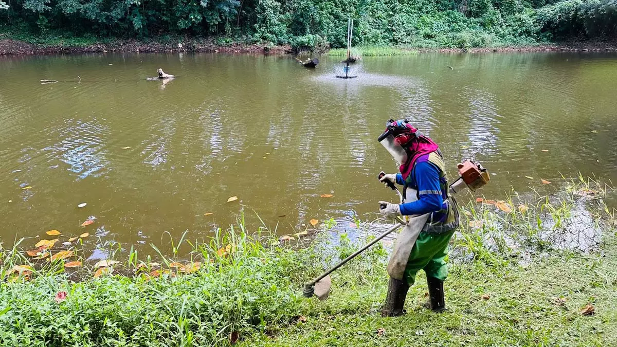 operação para remover resíduos e materiais inservíveis descartados de forma irregular em uma encosta no Parque Lagoa dos Pássaros